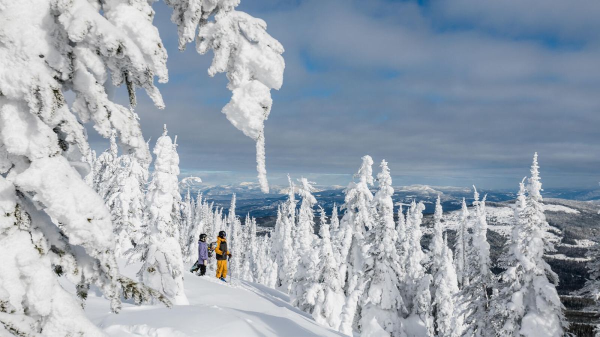 Snow ghosts on the mountain