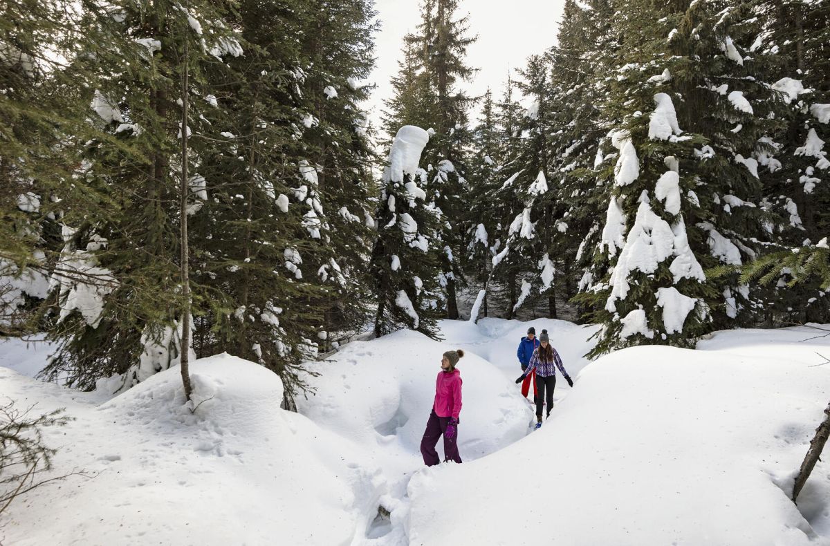 Snowshoeing at Sun Peaks